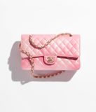  Túi Nữ Chanel Cloudy Pearly Goatskin Gold Tone Metal 'Light Pink' 