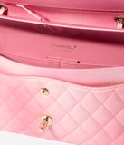  Túi Nữ Chanel Cloudy Pearly Goatskin Gold Tone Metal 'Light Pink' 