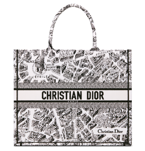 Túi Nữ Dior Large Book Tote Plan de Paris Embroidery 'White Black' 