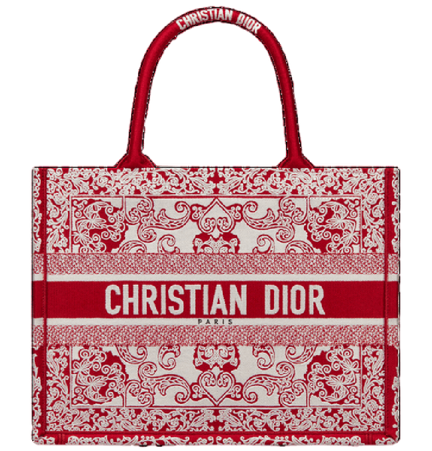 DIOR BOOK TOTE  La Deluxe