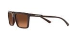  Kính Dolce & Gabbana D&G Sunglasses 'Brown' 