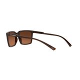  Kính Dolce & Gabbana D&G Sunglasses 'Brown' 