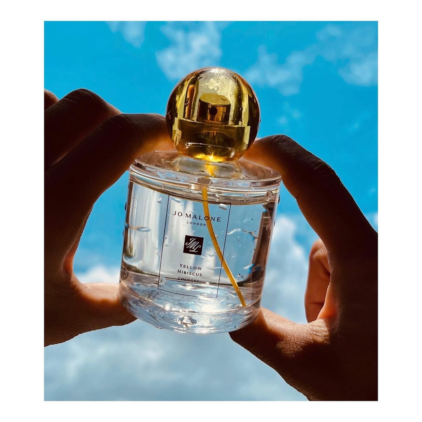 Nước Hoa Jo Malone London Yellow Hibiscus Cologne EDC LUXITY