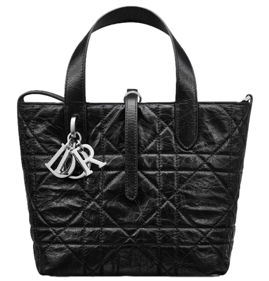  Túi Nữ Dior Small Toujours Vertical Tote Bag 'Black' 