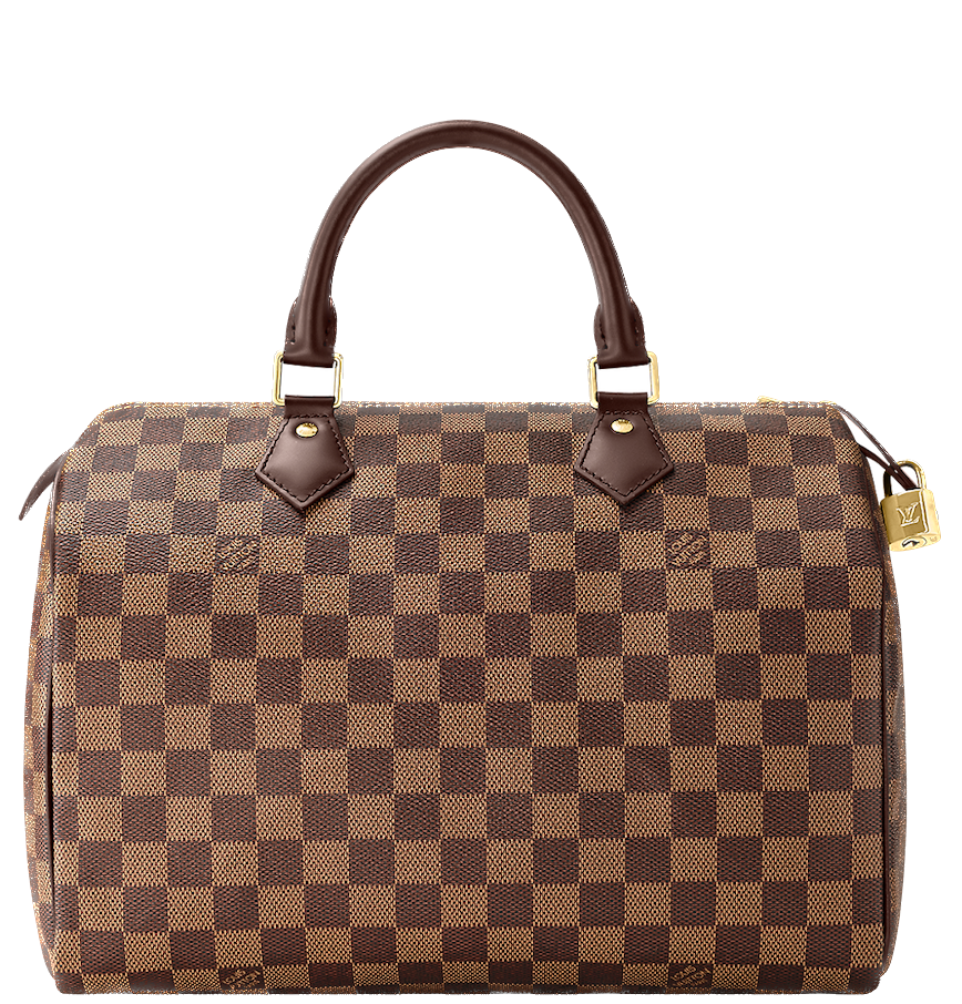LV Speedy 30 Damier Authentic Luxury Bags  Wallets on Carousell