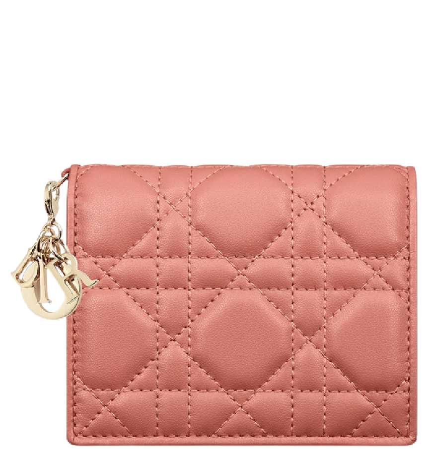 Cập nhật 87 lady dior lambskin wallet không thể bỏ qua trieuson5 #29 Cập nhật 87 lady dior lambskin wallet không thể bỏ qua trieuson5