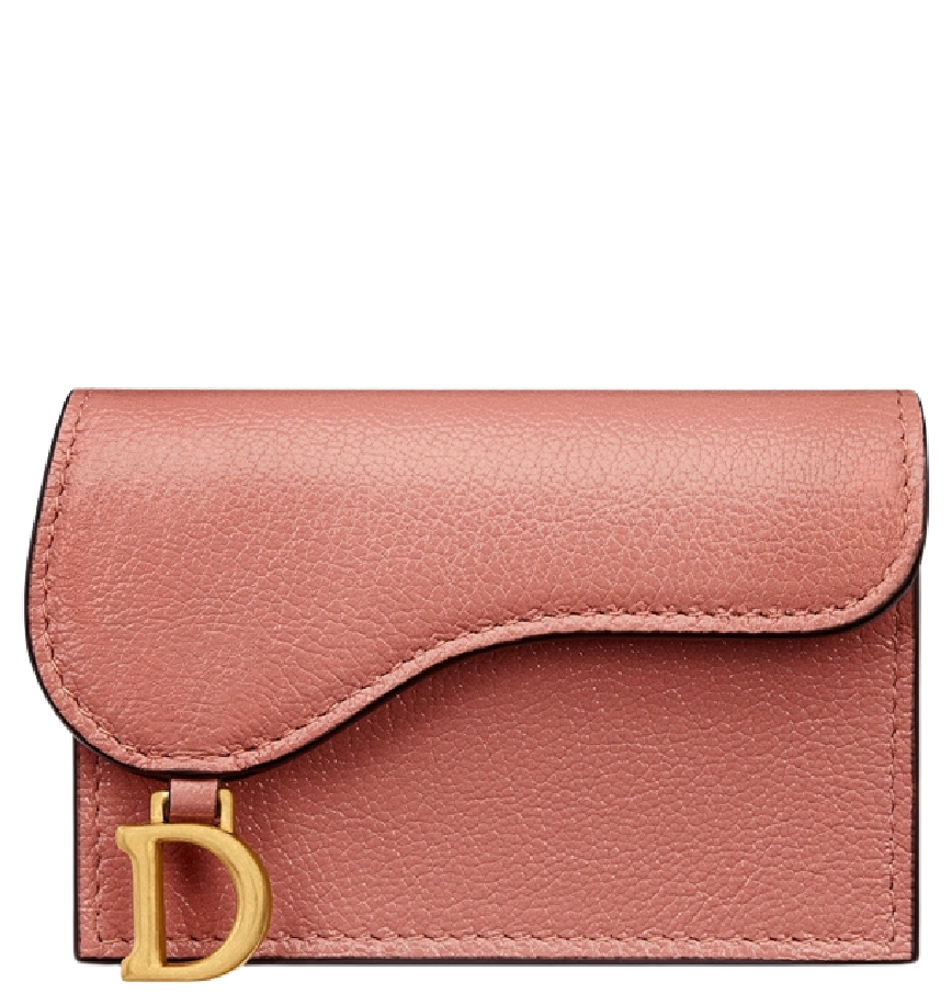 Chi tiết với hơn 68 về dior saddle card holder mới nhất cdgdbentreeduvn #18 Chi tiết với hơn 68 về dior saddle card holder mới nhất cdgdbentreeduvn