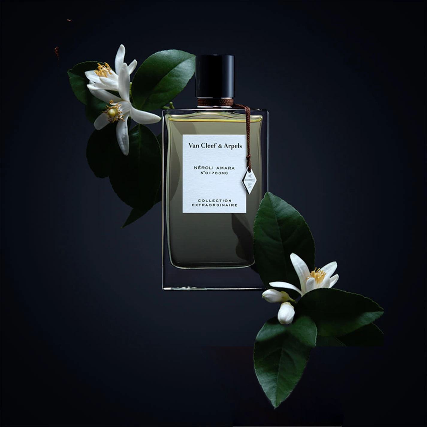  Nước Hoa Van Cleef Arpels Néroli Amara 