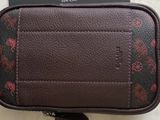  Túi Coach Hybrid Pouch 10 'Multicolor' 