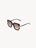  Kính Chloe West Sunglasses 'Dark Havana' 