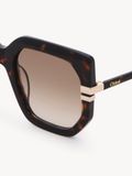  Kính Chloe West Sunglasses 'Dark Havana' 