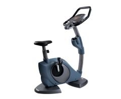 Commercial Up-Right Bike