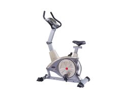 Commercial Up-Right Bike