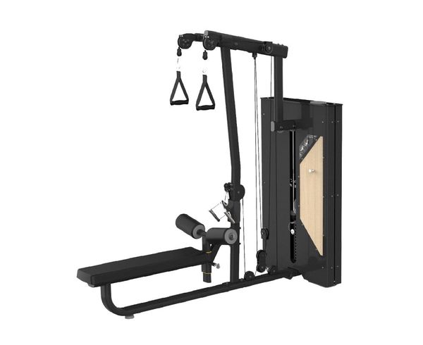 Lat Pull Down/Low Row
