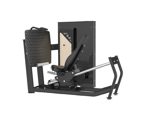 Stepping Leg Press/Calf