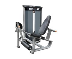 Leg Extension