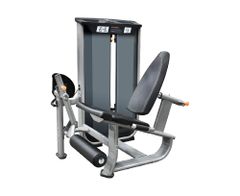 Leg Extension