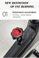 XB20 FELT FRICTION SPINING BIKE