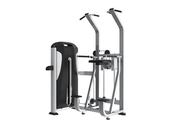 TE24 Dip /Chin Assist