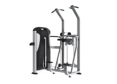 TE24 Dip /Chin Assist