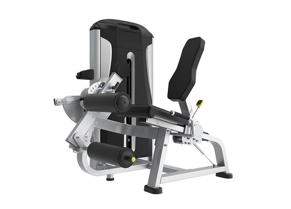 TE25 Seated Leg curl/extension