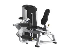 TE25 Seated Leg curl/extension