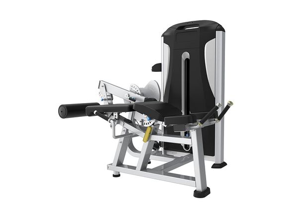 TE28 Horizontal and seated Leg Curl