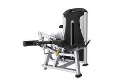 TE28 Horizontal and seated Leg Curl