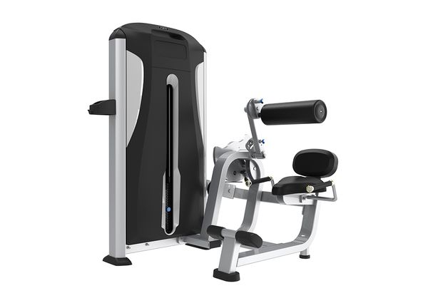 TE31 Abdominal Crunch/Low Back