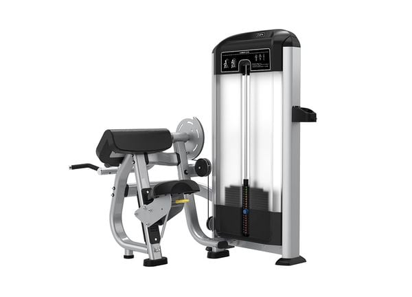 TF05 Arm Curl