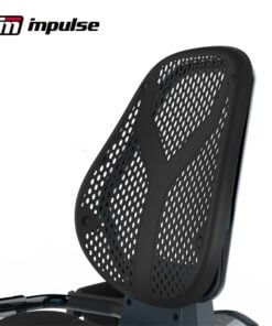 Recumbent Bike