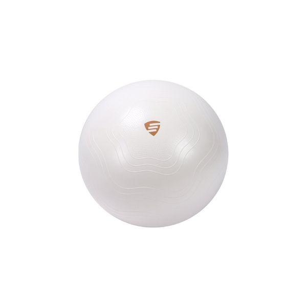 EXERCISE BALL