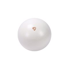 EXERCISE BALL