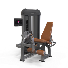 Leg Extension