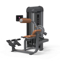 Abdominal/Back Extension