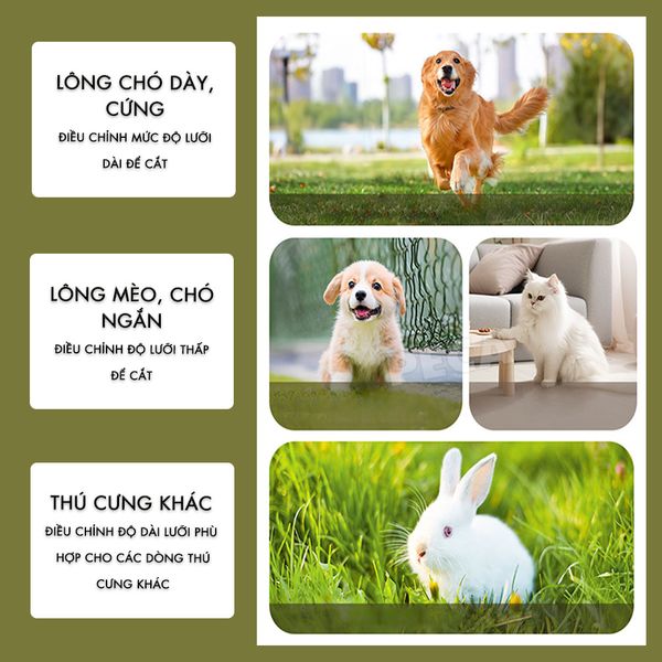 Tông đơ cắt lông thú cưng Kemei KM-CW2100 sử dụng không dây có thể cắt cho chó, mèo...công suất mạnh 5W - Chính hãng