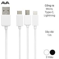 Cáp 3 đầu AVA AP03-1000