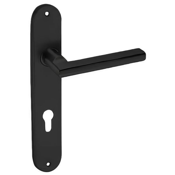  Tay gạt khóa cửa Texxon - LHH11P06N 