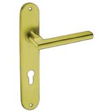  Tay gạt khóa cửa Texxon - LHH11P06N 