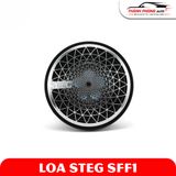  Loa Mid-Treb STEG SFF1 Chính Hãng 