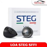  Loa Mid-Treb STEG SFF1 Chính Hãng 