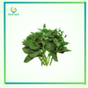 Rau mồng tơi gói 300g