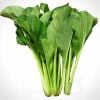 Cải ngọt X.Điền 300g