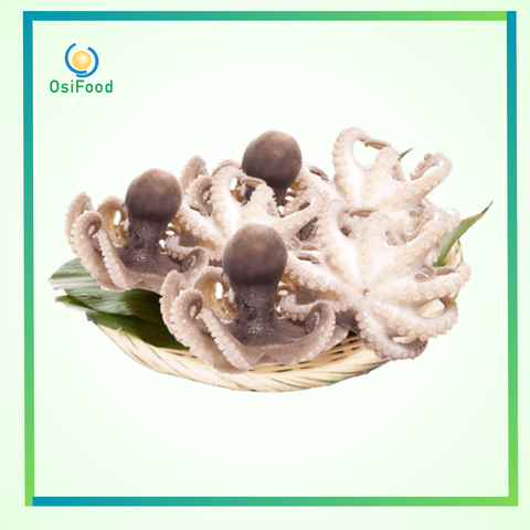 Bạch tuộc BV kg