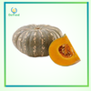 Bí đỏ tròn VN kg