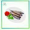 Cá bống cát ls nhỏ BV kg