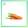 Cà rốt Đà Lạt 100g