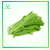 Cải bẹ xanh gói 300g