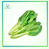 Cải ngọt X.Điền 300g