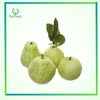 Ổi g.Đ.Loan VAS kg